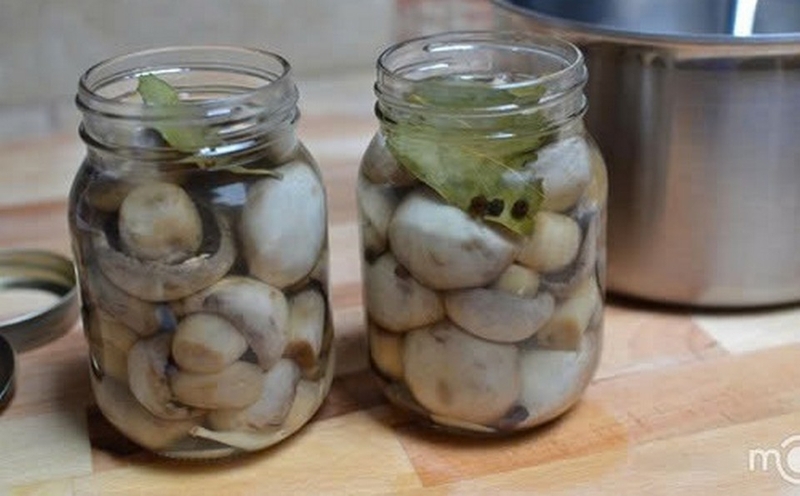 Nấm rơm muối chua ảnh 1