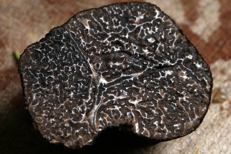 Nấm truffle ảnh 4