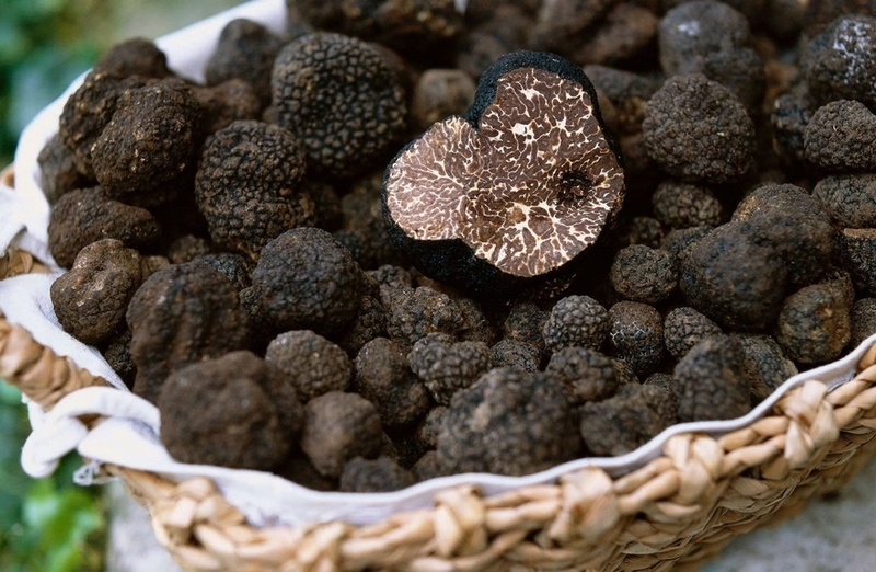 Nấm truffle ảnh 5