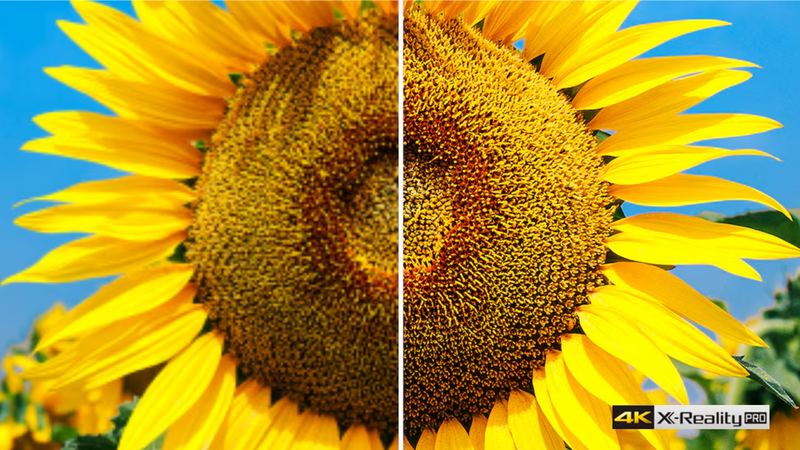 Phân tích độ phân giải hình ảnh đầu vào