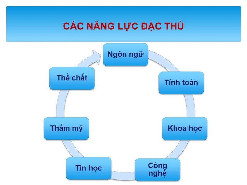 Năng lực chung và năng lực đặc thù 2