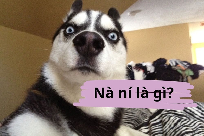 Nà ní là gì 3