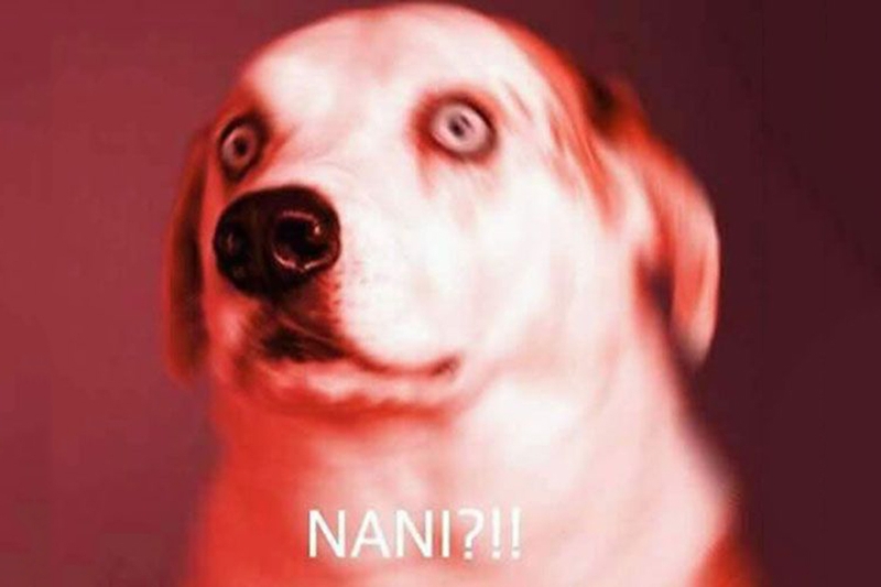Nà ní là gì 10