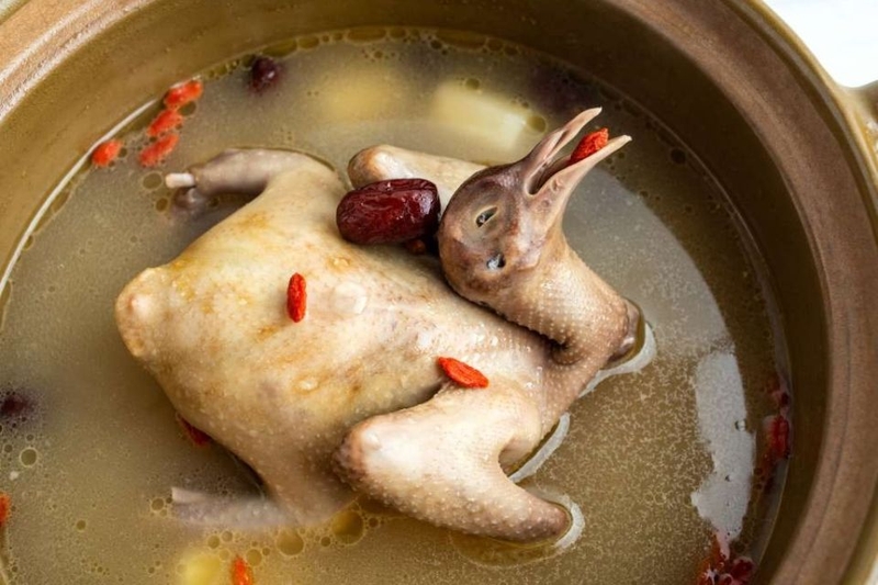 nấu bồ câu hầm đậu đen hạt sen