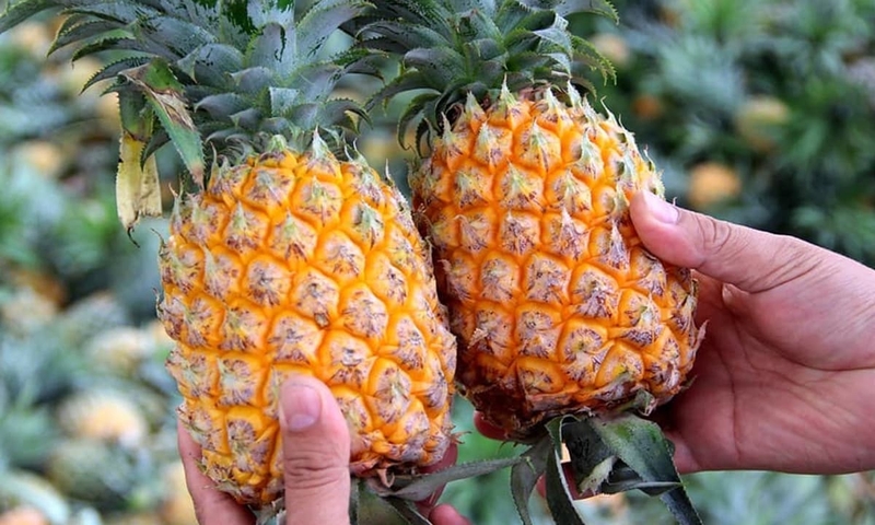 nấu canh ngao chua dứa 3