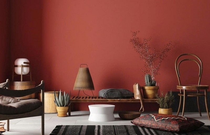 Nâu đỏ trầm ảnh 2