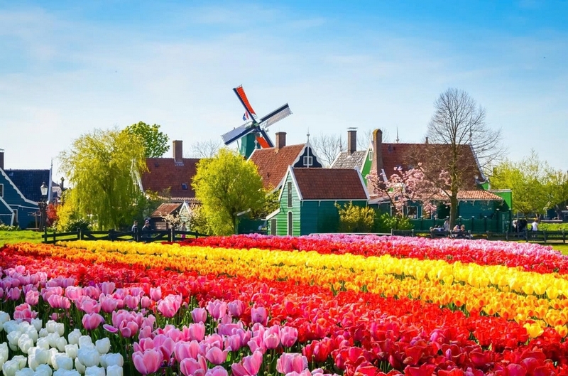 Netherlands là nước nào ảnh 1