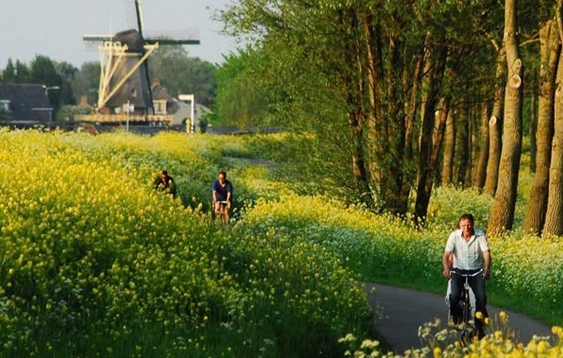 Netherlands là nước nào ảnh 6