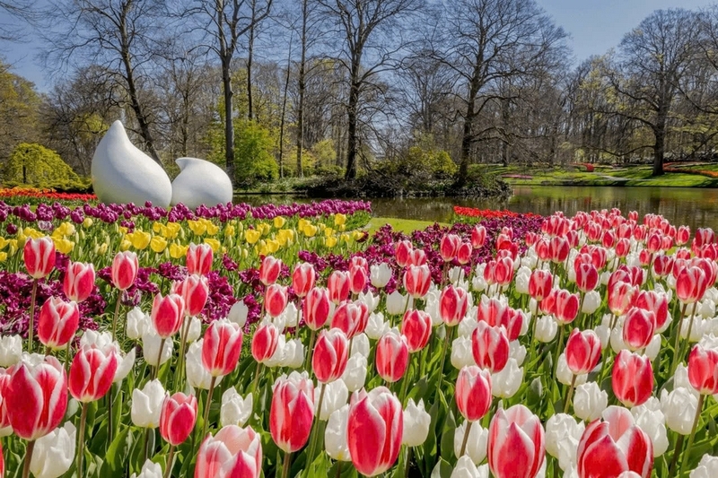 Netherlands là nước nào ảnh 8