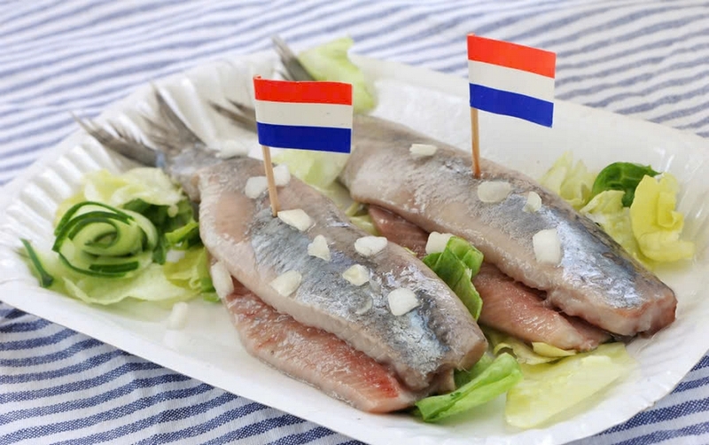 Netherlands là nước nào ảnh 9