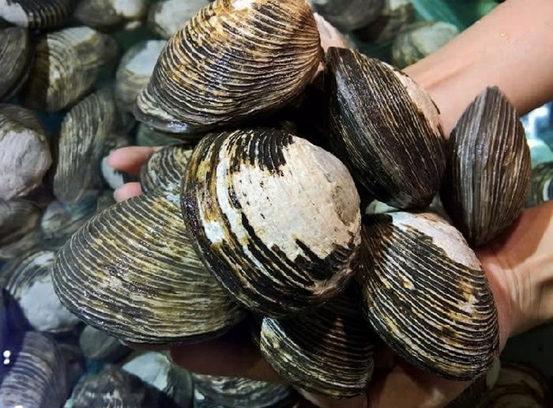 Ngán ảnh 1