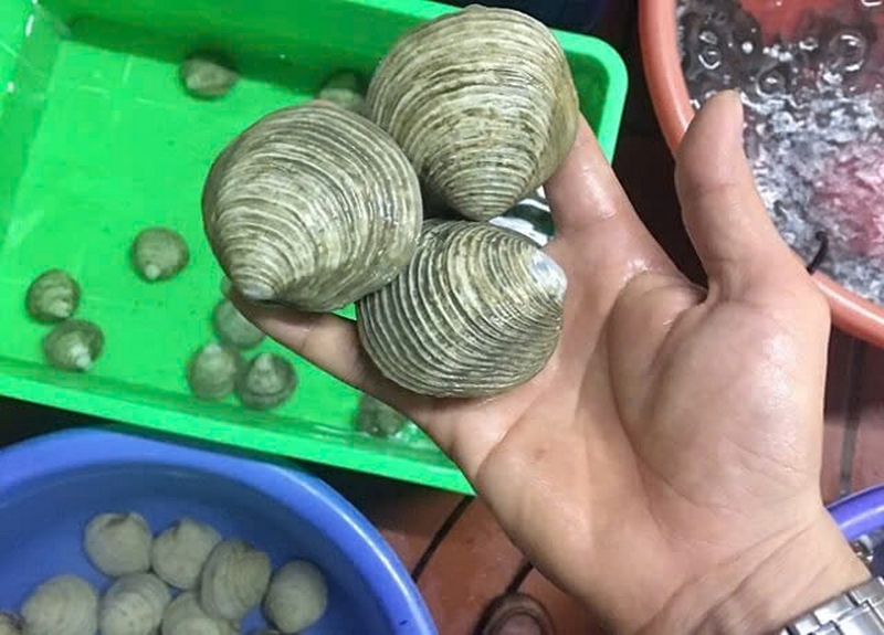 Ngán ảnh 2