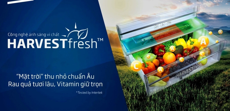 ngăn rau củ tủ lạnh 3