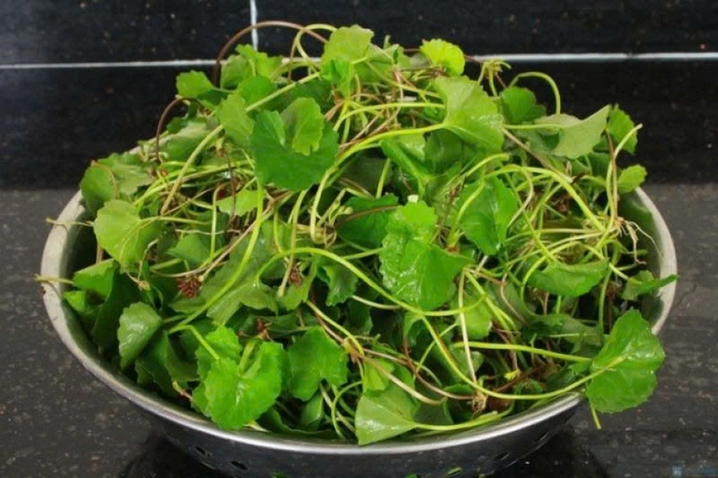 ngan xào rau má ảnh 2