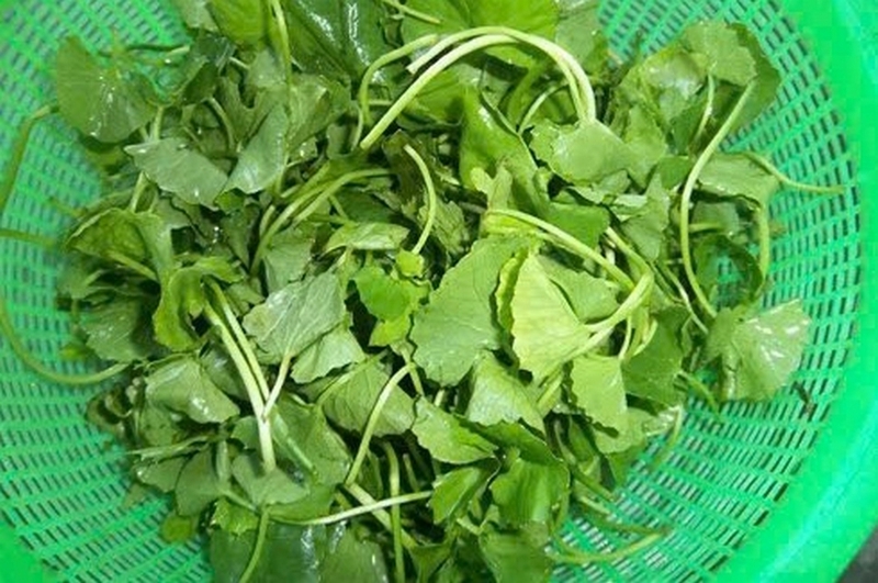ngan xào rau má ảnh 4