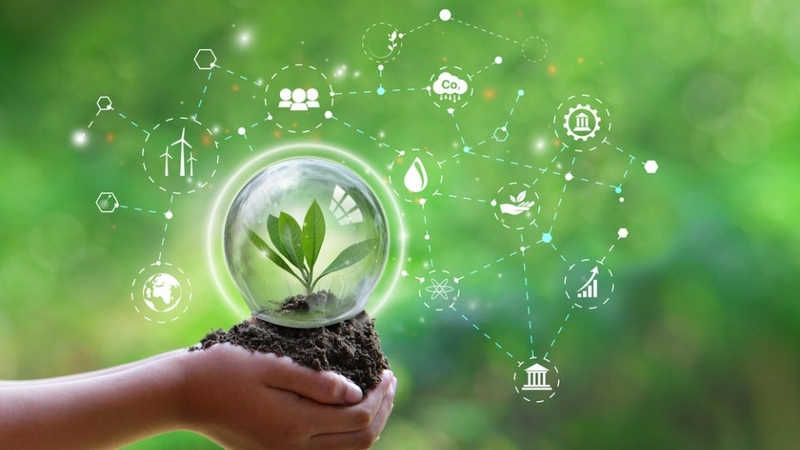 Ngành Quản lý tài nguyên và môi trường 4