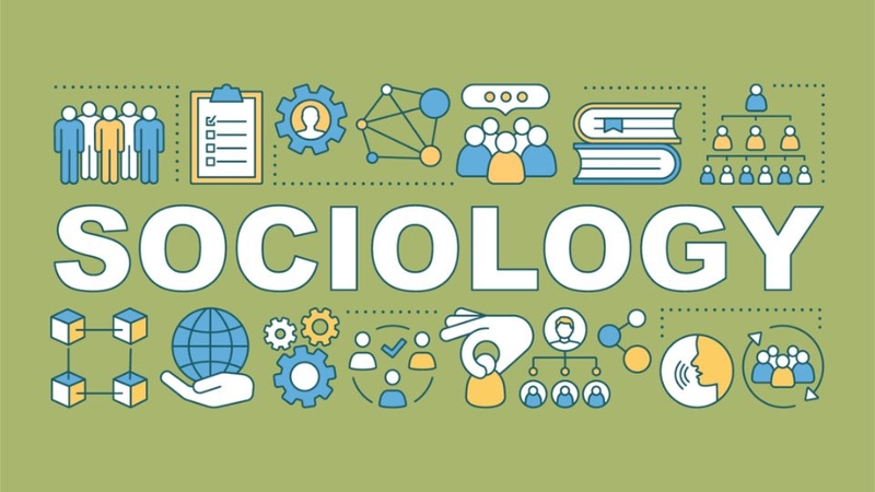 Ngành Xã hội học là gì? 2