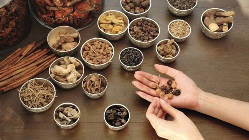 Ngành Y học cổ truyền 1