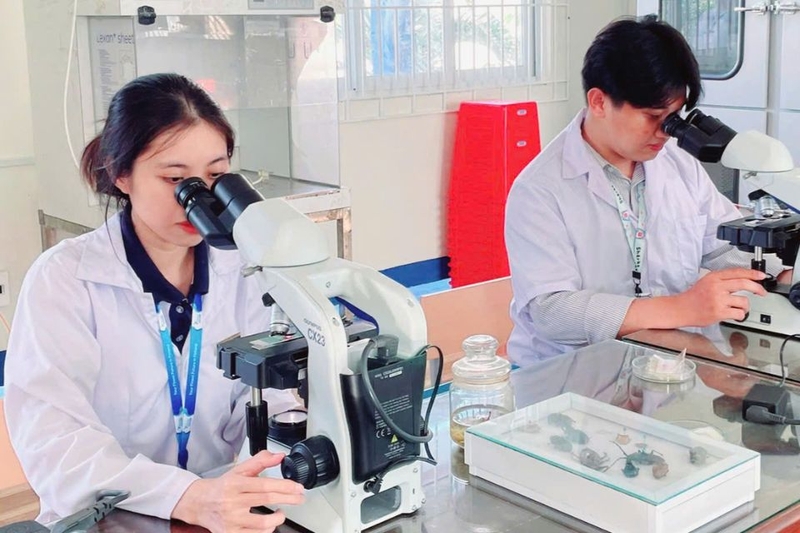 Giảng dạy và đào tạo
