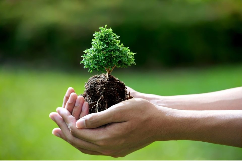 Ngành bảo vệ thực vật phù hợp với ai?