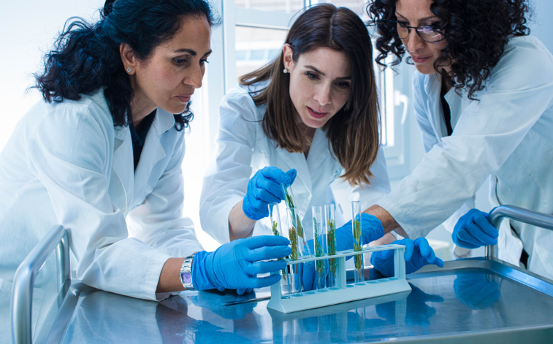 to chat nganh hoa hoc