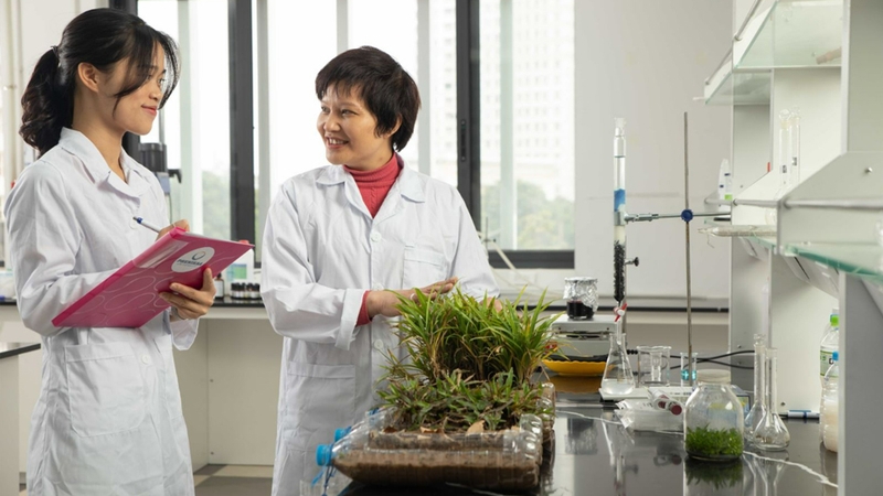 Ngành Khoa học Môi trường tích hợp kiến thức của nhiều lĩnh vực