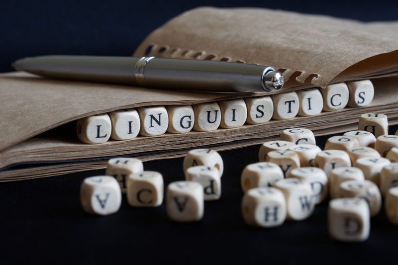 ngành ngôn ngữ học (ảnh 1)