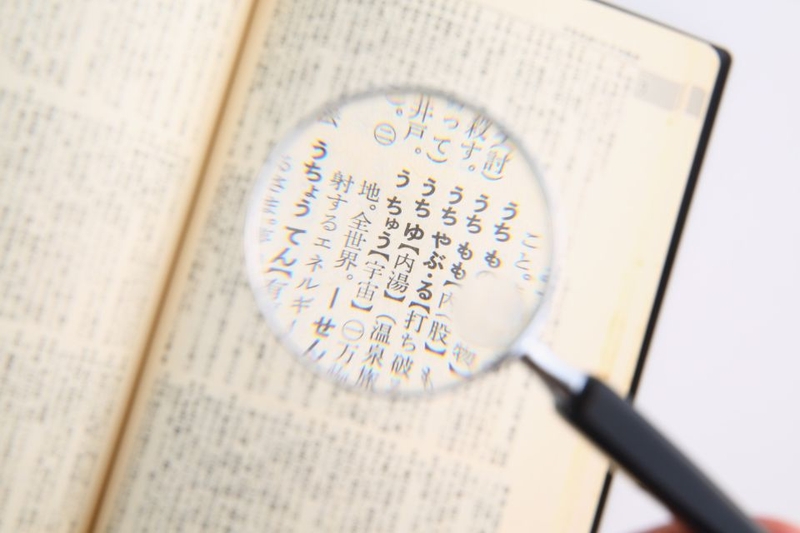 ngành ngôn ngữ học (ảnh 2)