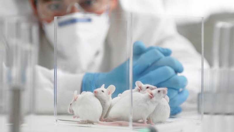 Chuyên ngành Động vật học và Thực vật học