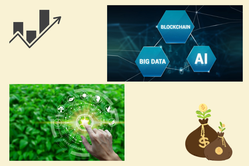 Ngành tài chính là gì (6)