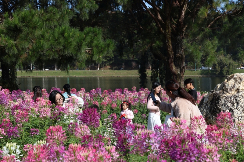 ngày đẹp tháng 6 2026 2.jpg