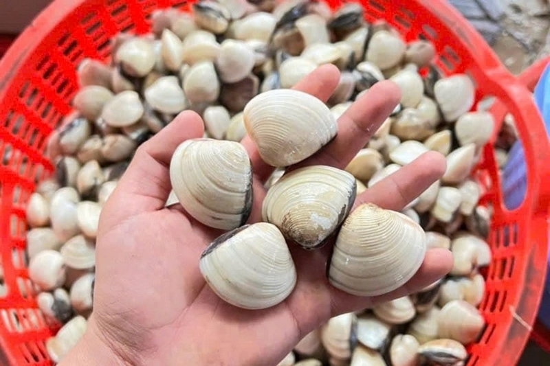 nghêu xào chua ngọt ảnh 2