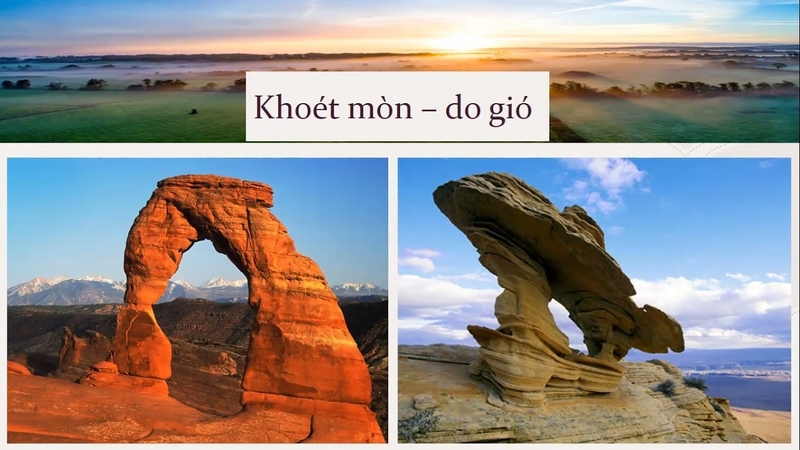 Ngoại lực là gì 1