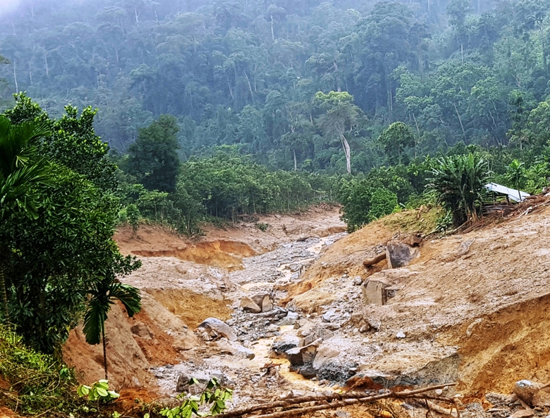 Ngoại lực là gì 6