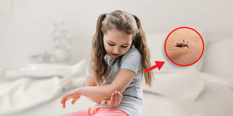 Người hay bị muỗi đốt