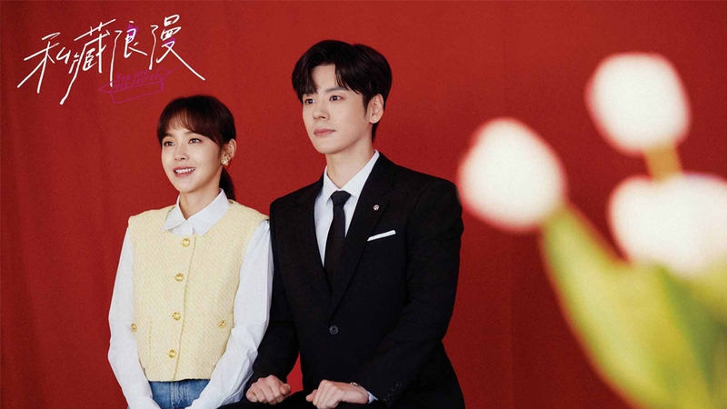 Che Giấu Lãng Mạn (Hidden Romance)