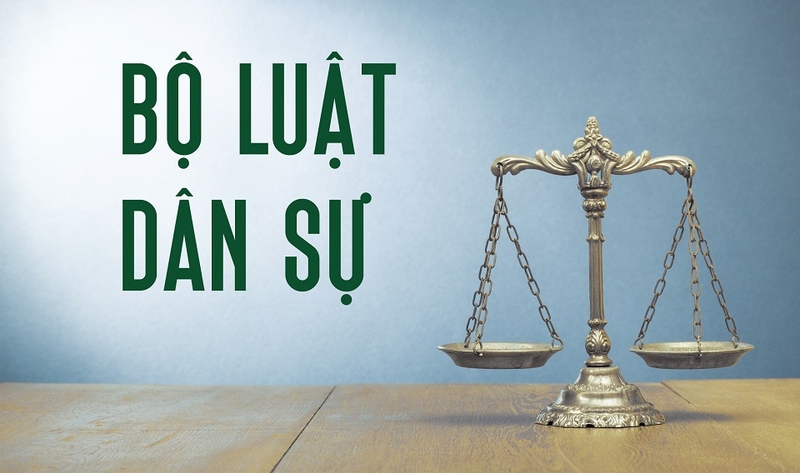 Các nguyên tắc cơ bản trong Bộ luật Dân sự 2015