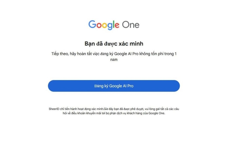 Cách nhận gói Google One 2TB miễn phí cho sinh viên ảnh 3