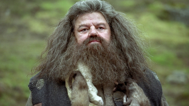 Bác Hagrid là người giữ khoá của trường Hogwarts