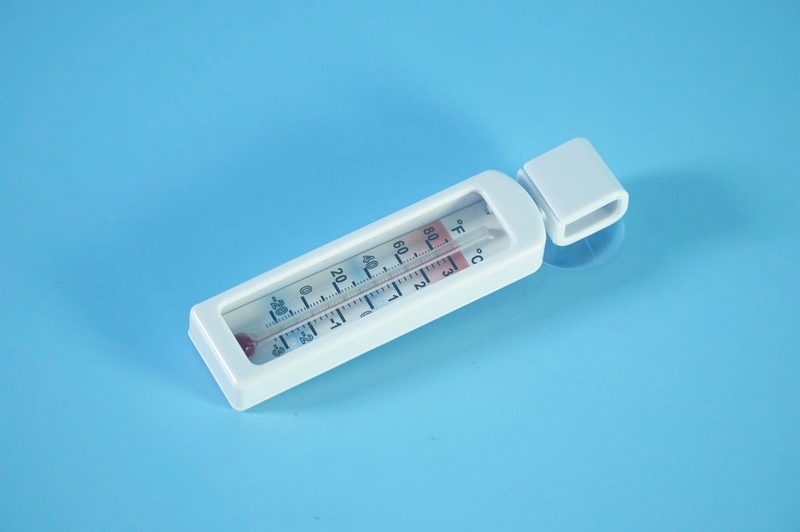 Nhiệt kế tủ lạnh ảnh 1