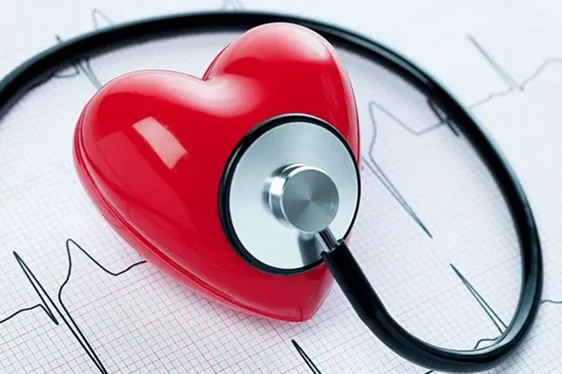 Nhịp tim bình thường 1
