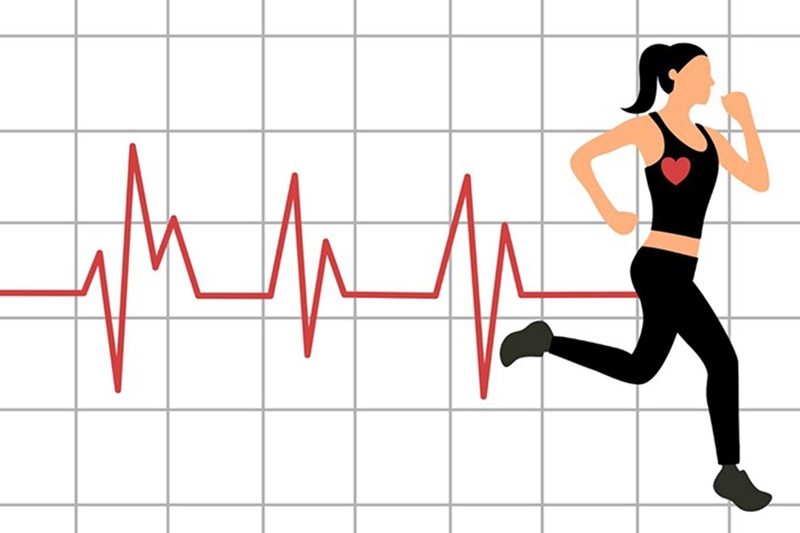 Nhịp tim bình thường 8