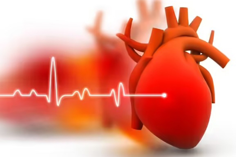 Nhịp tim bình thường 10