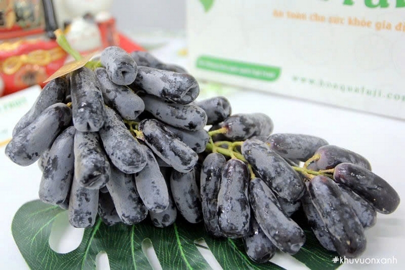 Nho móng tay ảnh 6