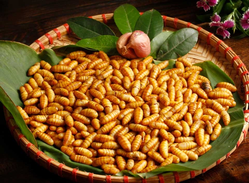 Nhộng ong - 05