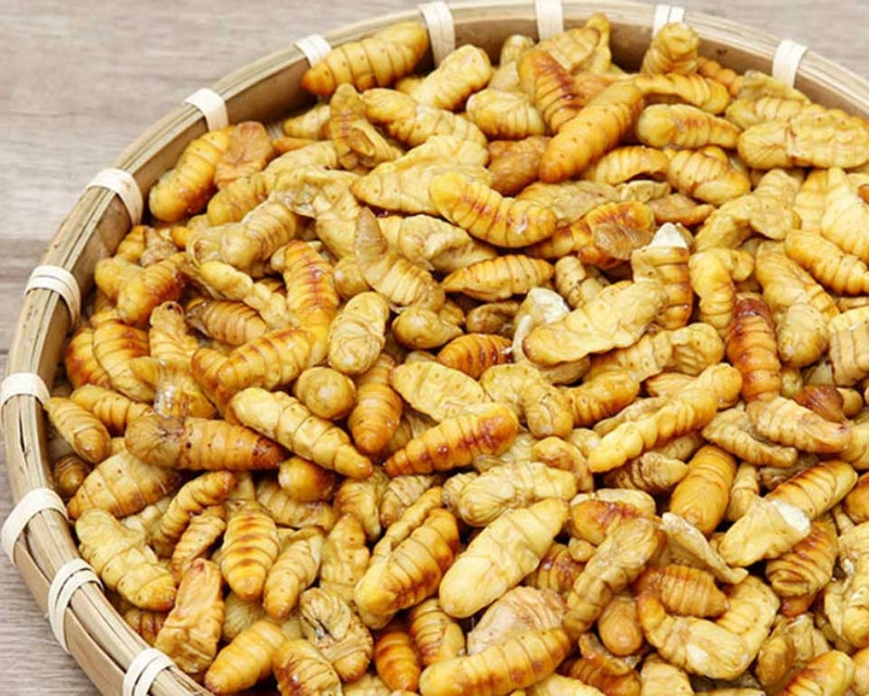 Nhộng ong - 04
