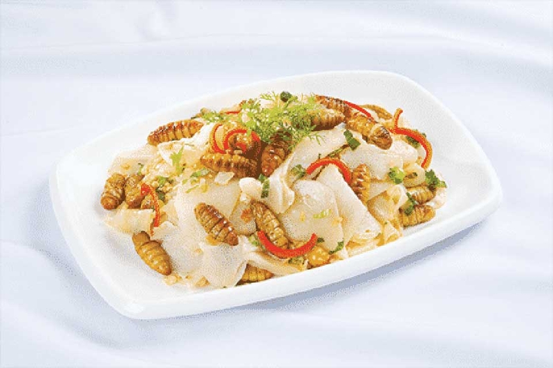 Nhộng ong - 02