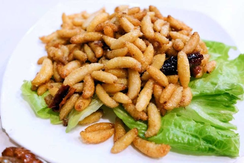 Nhộng ong - 01