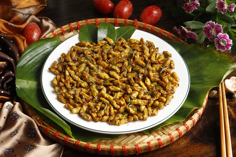 Lợi ích sức khỏe của nhộng tằm