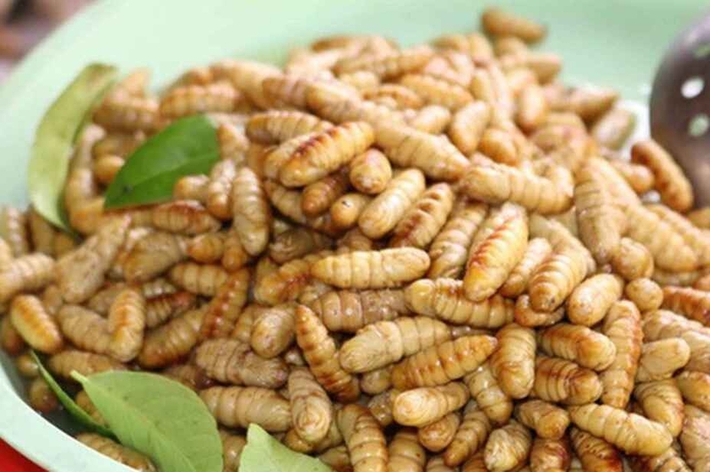 Bí quyết chọn nhộng tươi ngon, chất lượng